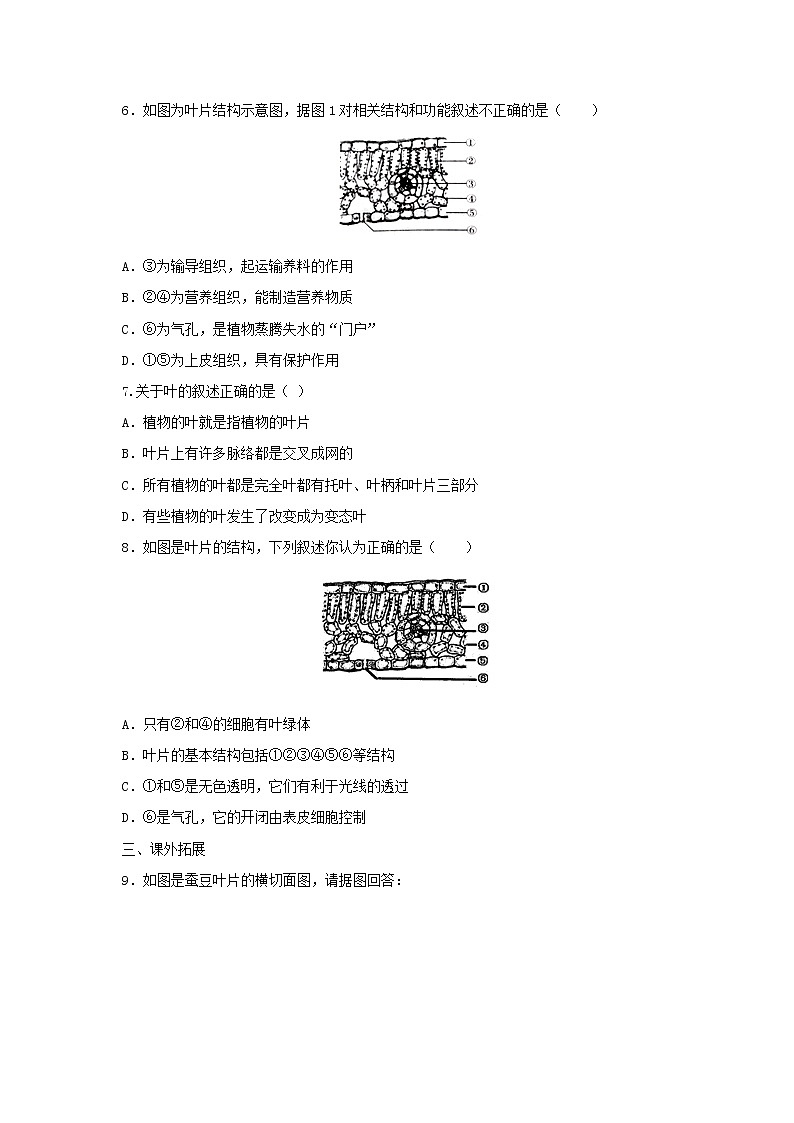 北京课改版七年级生物上册4.2绿色植物的光合作用练习1+(1)第2页