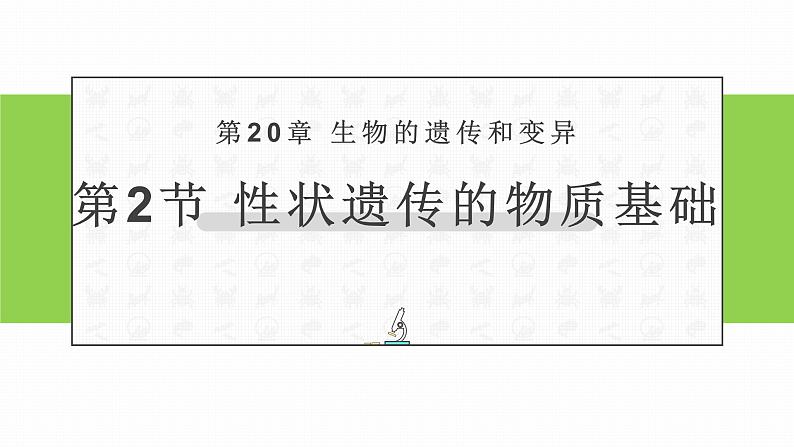 初中生物北师大版八年级上册20.2 性状遗传的物质基础 课件01