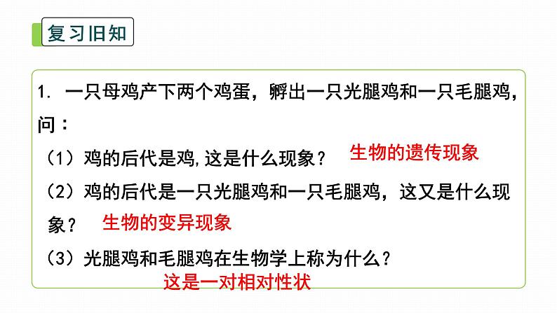 初中生物北师大版八年级上册20.2 性状遗传的物质基础 课件02