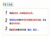 初中生物北师大版八年级上册20.2 性状遗传的物质基础 课件