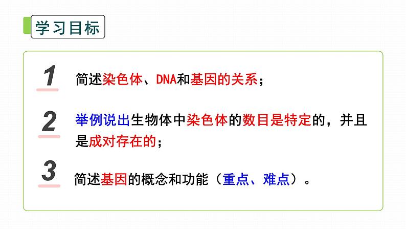 初中生物北师大版八年级上册20.2 性状遗传的物质基础 课件05