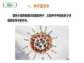 人教版七上第三单元第一章第二节   种子植物-公开课（课件)