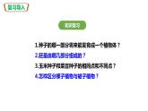人教版七上第三单元第二章第一节 种子的萌发（课件）