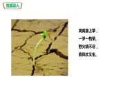 人教版七上第三单元第二章第一节 种子的萌发（课件）