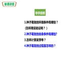 人教版七上第三单元第二章第一节 种子的萌发（课件）