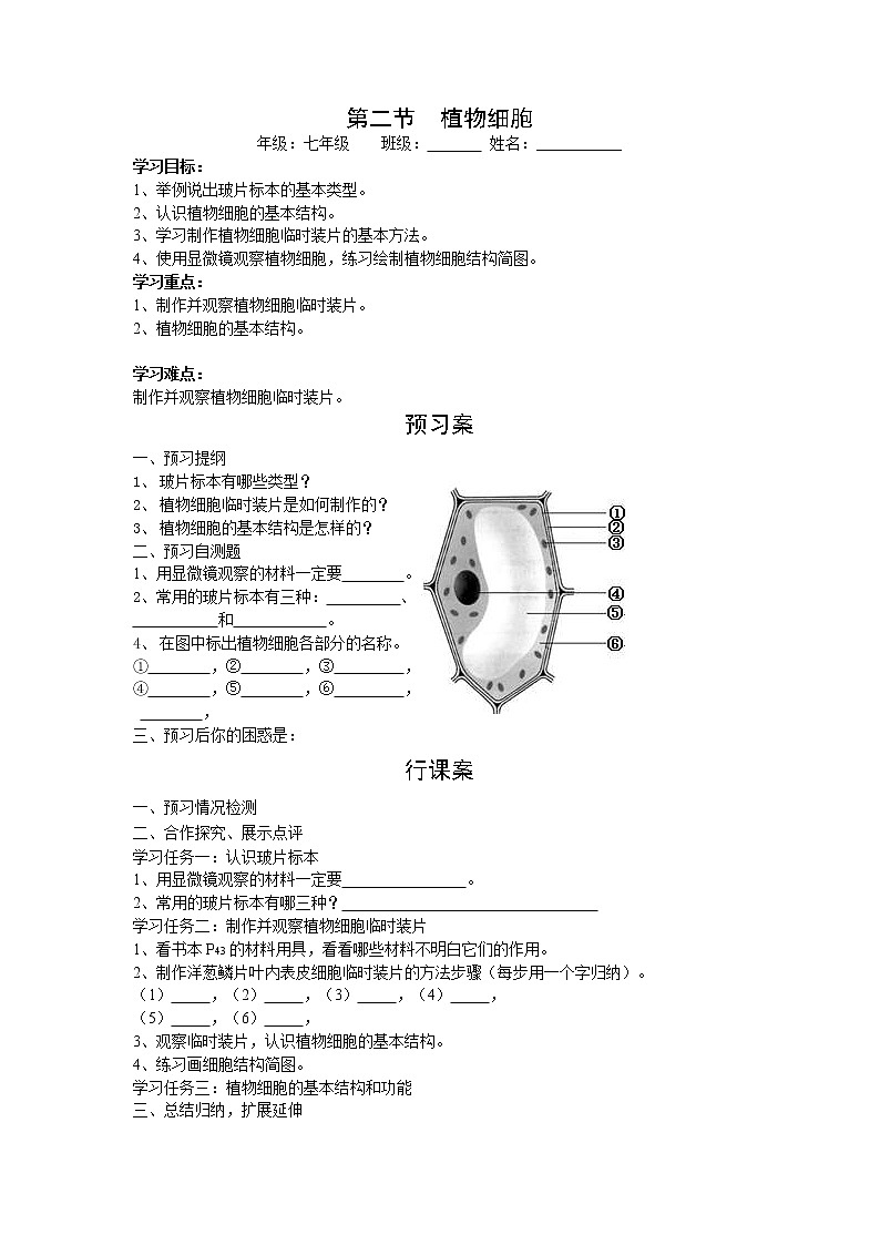 2020年人教版七年级生物上册 第2单元第1章第2节  植物细胞 学案01