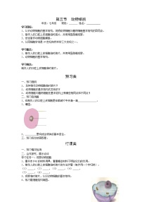 初中生物人教版 (新课标)七年级上册第三节 动物细胞学案