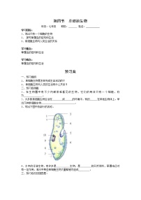 生物七年级上册第四节 单细胞生物导学案