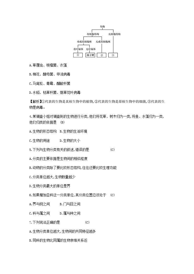 2020年人教版八年级生物上册6.1.2从种到界 学案03