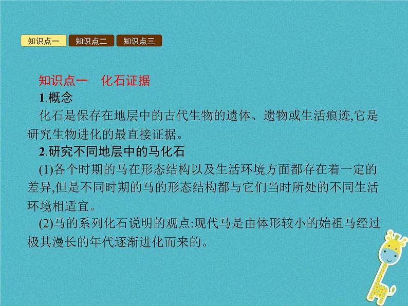 2021年济南版八年级生物下册5.1.2生物进化的证据 课件02