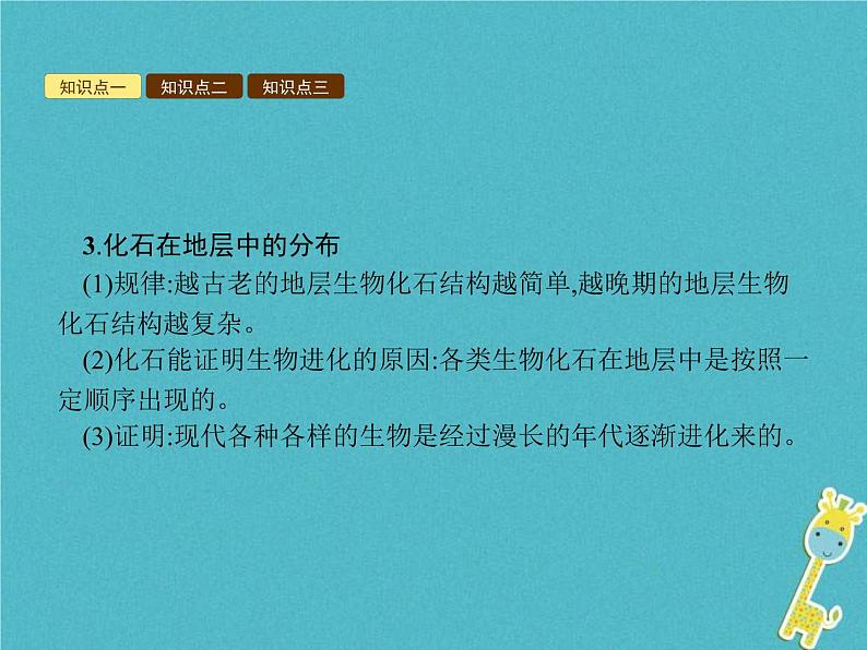 2021年济南版八年级生物下册5.1.2生物进化的证据 课件03