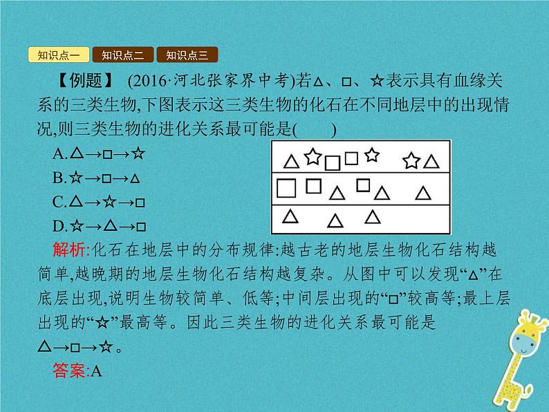 2021年济南版八年级生物下册5.1.2生物进化的证据 课件04