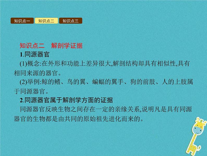 2021年济南版八年级生物下册5.1.2生物进化的证据 课件05