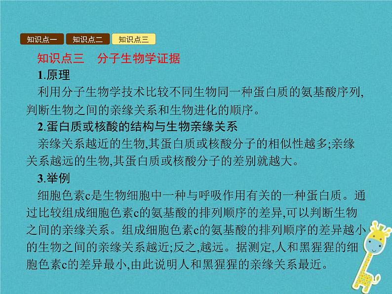 2021年济南版八年级生物下册5.1.2生物进化的证据 课件06