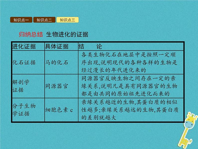 2021年济南版八年级生物下册5.1.2生物进化的证据 课件07