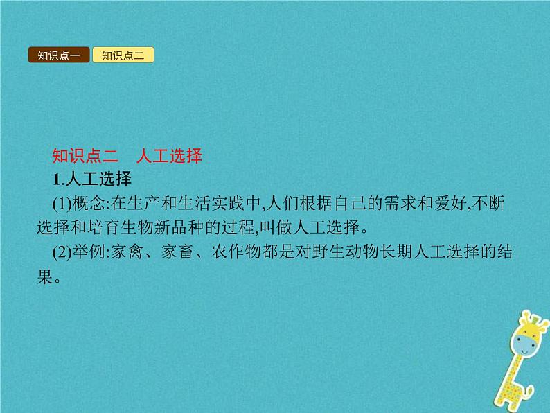 2021年济南版八年级生物下册5.1.4生物进化的原因 课件08