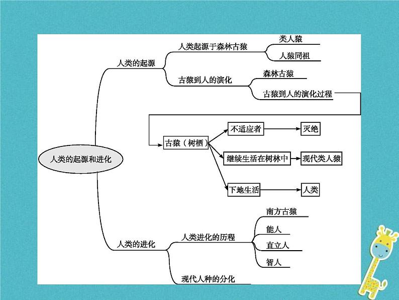 2021年济南版八年级生物下册5.2.1人类的起源 课件02