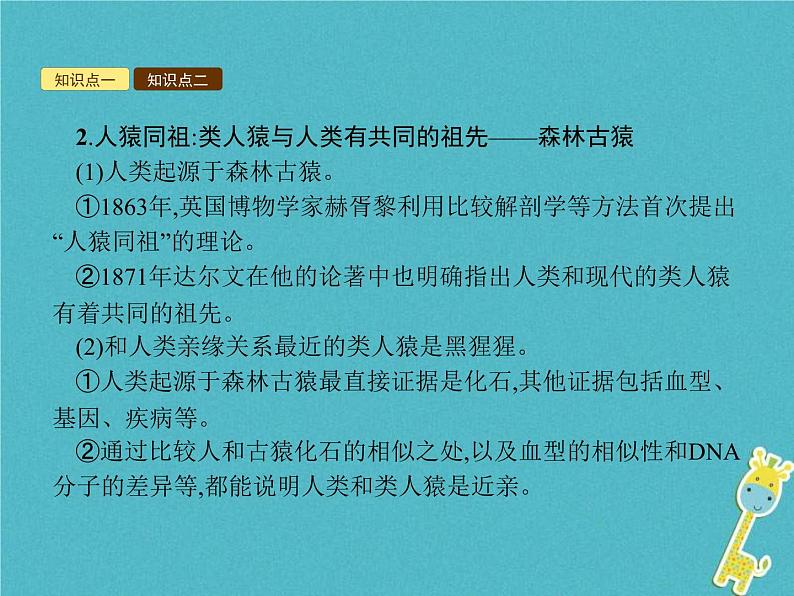 2021年济南版八年级生物下册5.2.1人类的起源 课件06