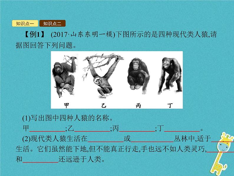 2021年济南版八年级生物下册5.2.1人类的起源 课件08