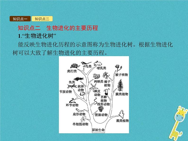 2021年济南版八年级生物下册5.1.3生物进化的历程 课件05