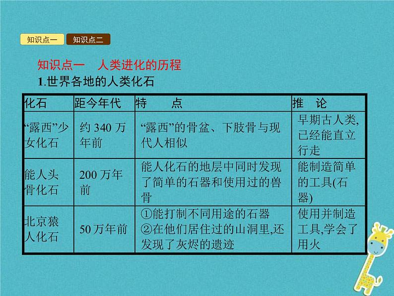 2021年济南版八年级生物下册5.2.2人类的进化 课件02