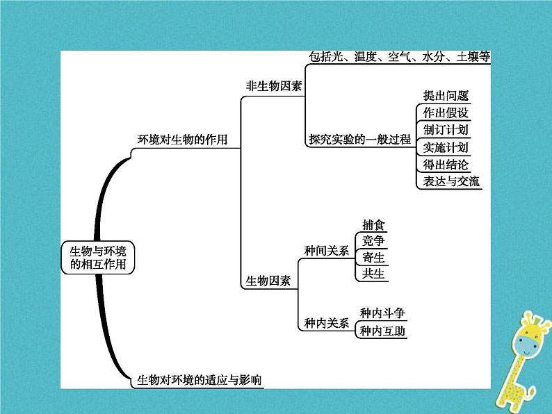 2021年济南版八年级生物下册6.1.1环境对生物的作用 课件03