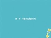2021年济南版八年级生物下册6.1.1环境对生物的作用 课件