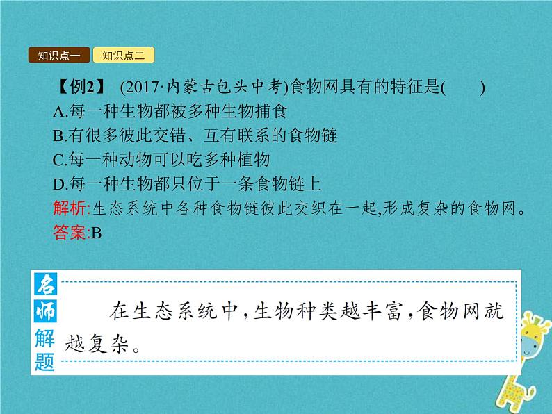 2021年济南版八年级生物下册6.2.2食物链和食物网 课件07