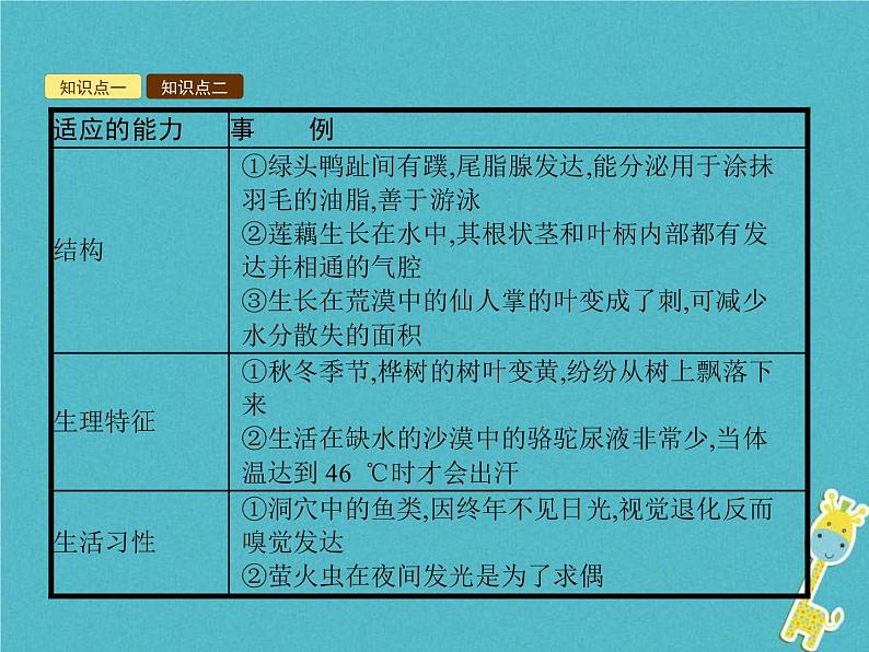 2021年济南版八年级生物下册6.1.2生物对环境的适应与影响 课件03