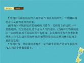 2021年济南版八年级生物下册6.1.2生物对环境的适应与影响 课件