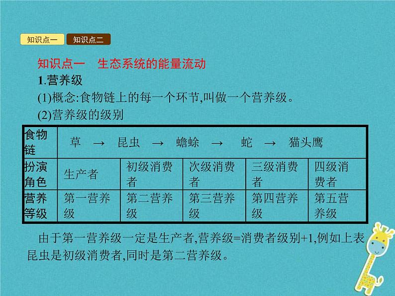 2021年济南版八年级生物下册6.2.3能量流动和物质循环 课件02