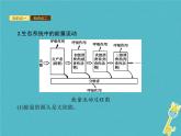 2021年济南版八年级生物下册6.2.3能量流动和物质循环 课件