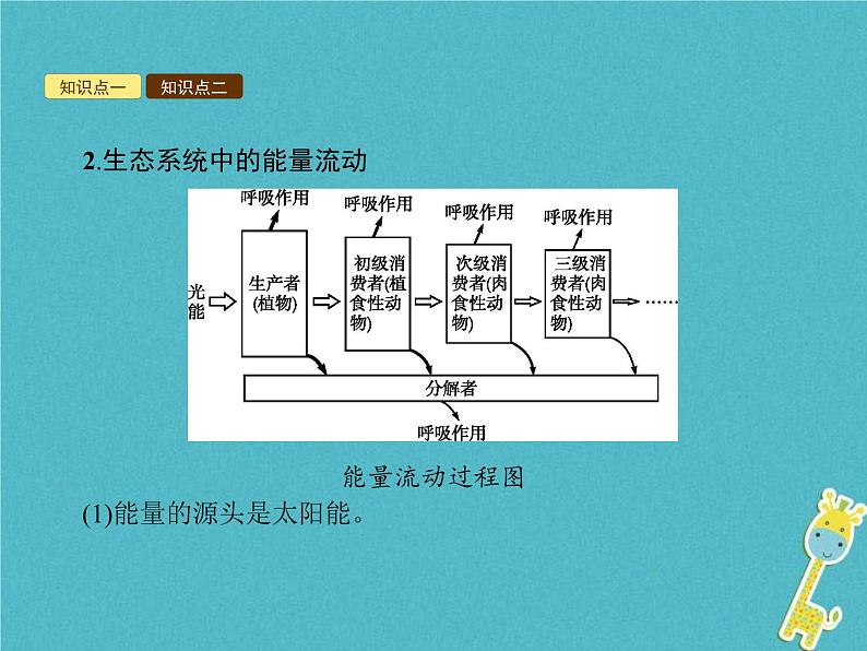 2021年济南版八年级生物下册6.2.3能量流动和物质循环 课件03