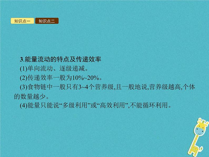 2021年济南版八年级生物下册6.2.3能量流动和物质循环 课件05