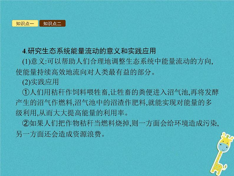 2021年济南版八年级生物下册6.2.3能量流动和物质循环 课件06