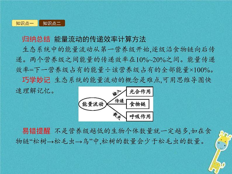 2021年济南版八年级生物下册6.2.3能量流动和物质循环 课件07