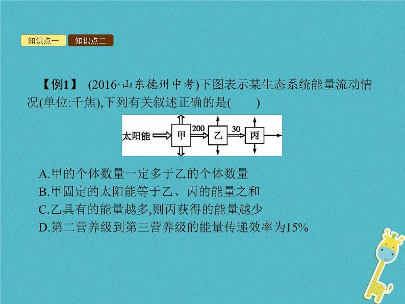 2021年济南版八年级生物下册6.2.3能量流动和物质循环 课件08