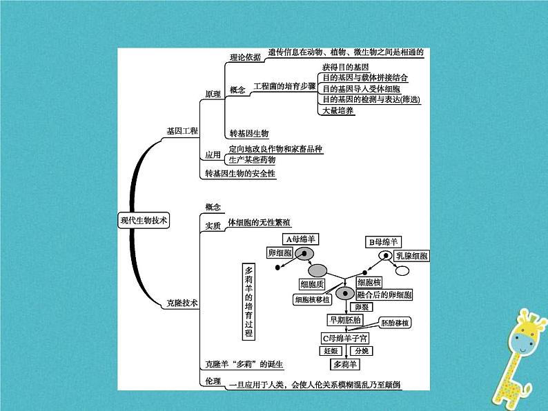 2021年济南版八年级生物下册7.2.1基因工程 课件02