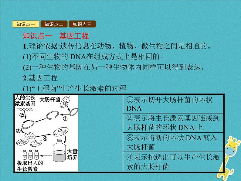 2021年济南版八年级生物下册7.2.1基因工程 课件04