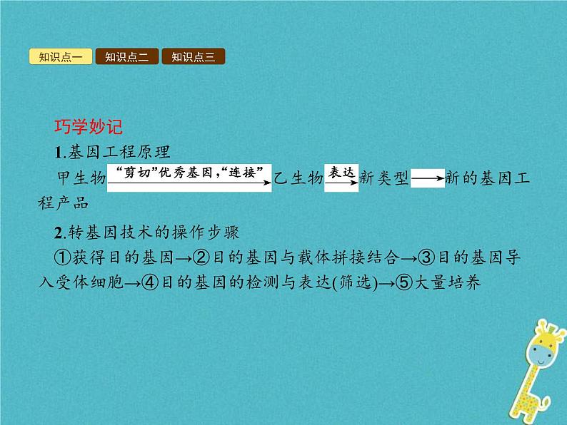 2021年济南版八年级生物下册7.2.1基因工程 课件06