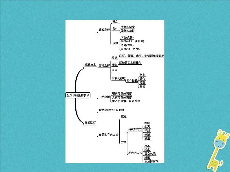 2021年济南版八年级生物下册7.1.1发酵技术 课件03