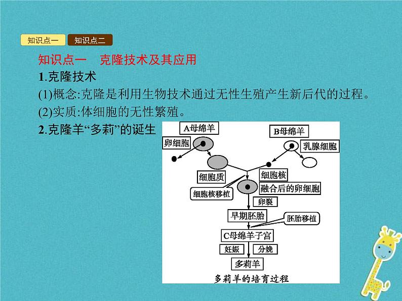 2021年济南版八年级生物下册7.2.2克隆技术 课件02