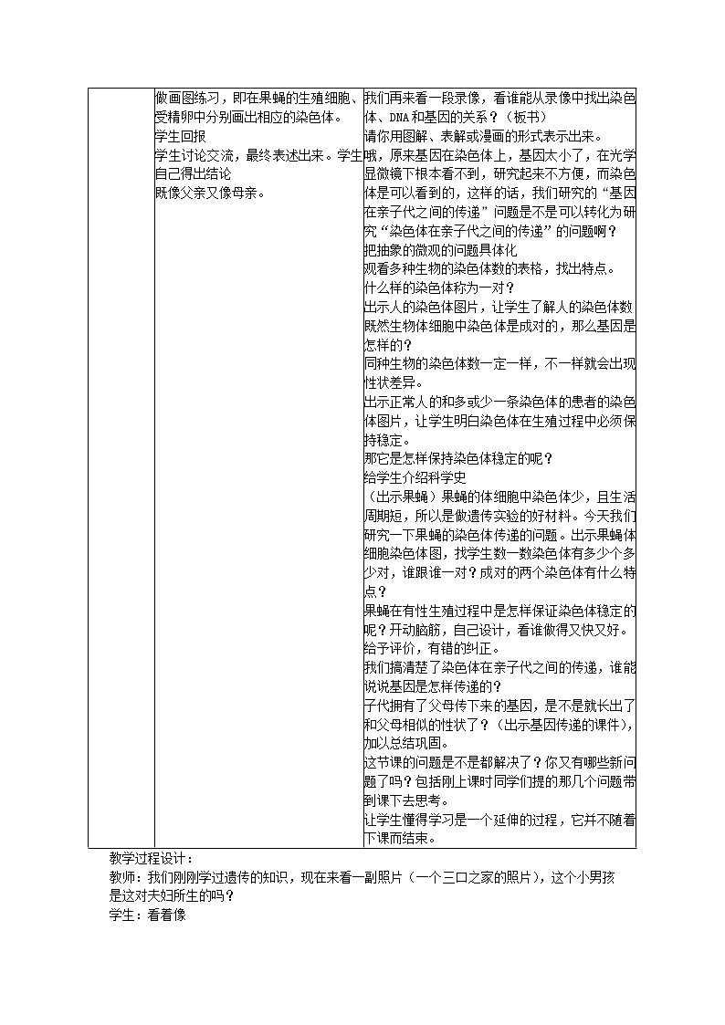人教版八年级生物下册第7单元第2章第2节 基因在亲子代间的传递 教案02