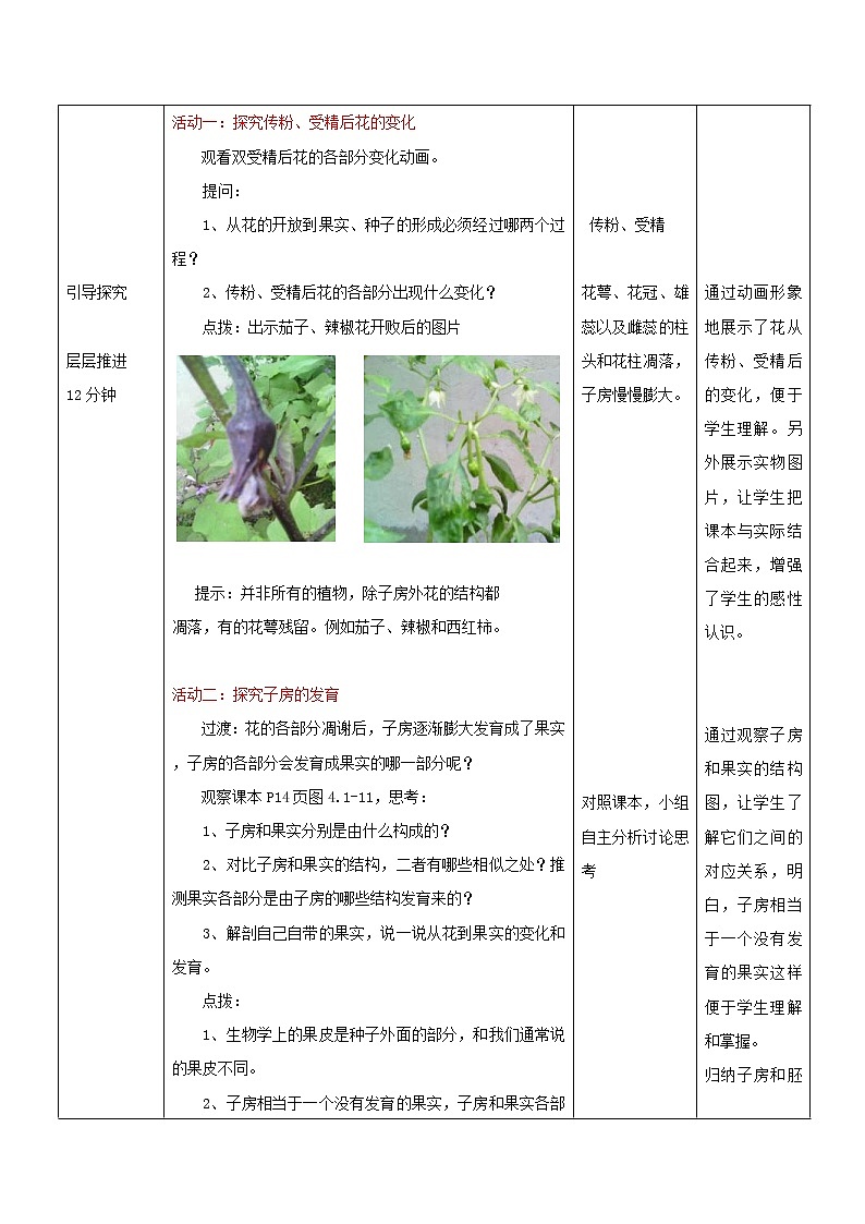 2020年济南版八年级生物上册4.1.3果实和种子的形成 教案03