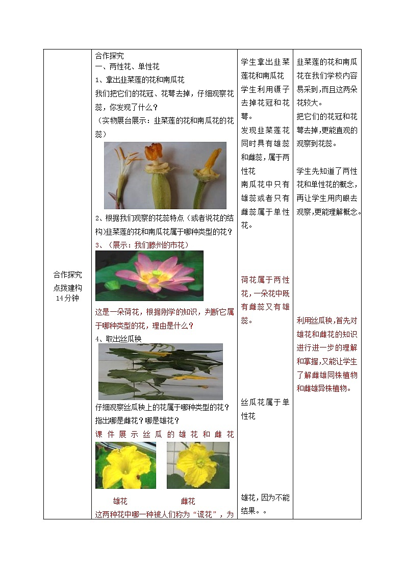 2020年济南版八年级生物上册4.1.1花的结构和类型第2课时 教案03