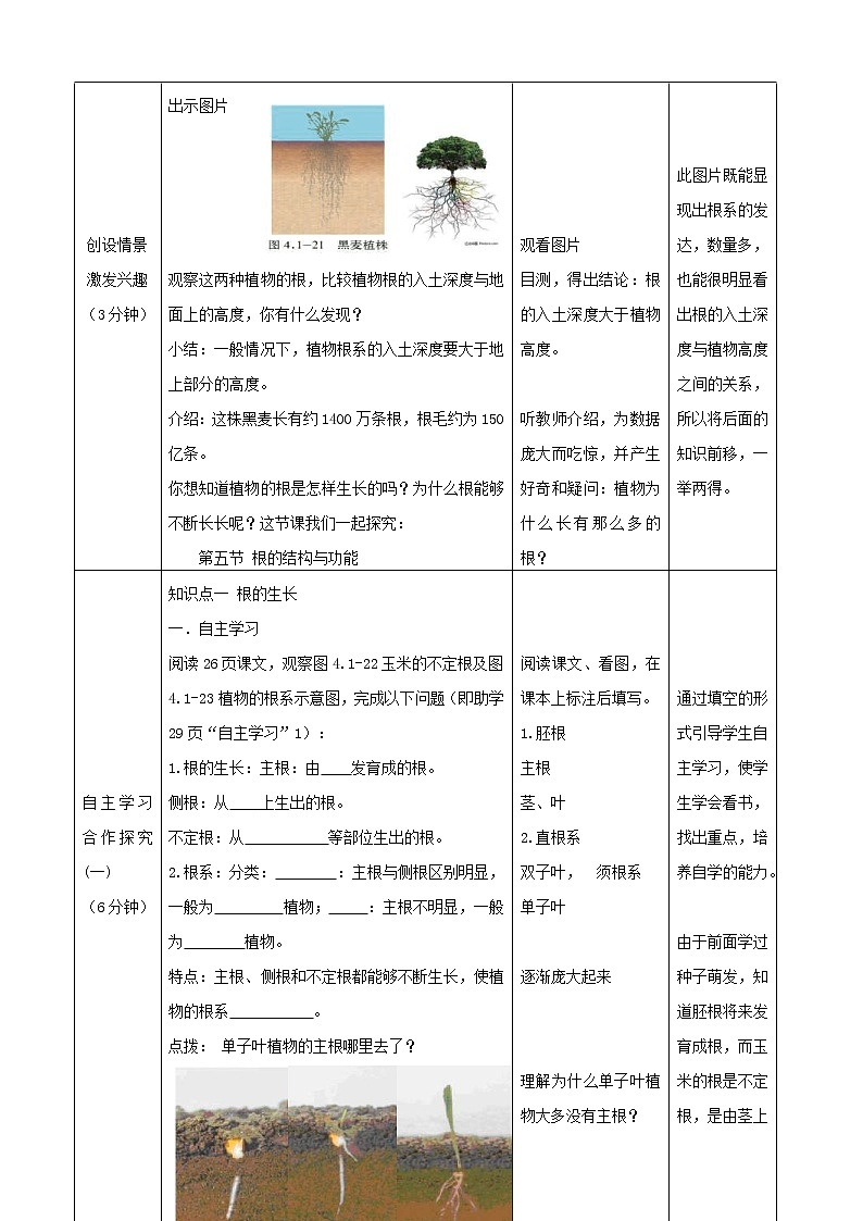 2020年济南版八年级生物上册4.1.5根的结构与功能 教案1第2页