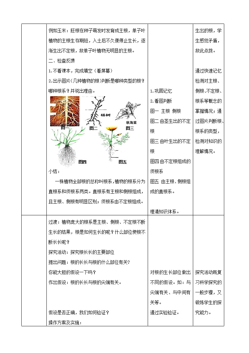 2020年济南版八年级生物上册4.1.5根的结构与功能 教案1第3页