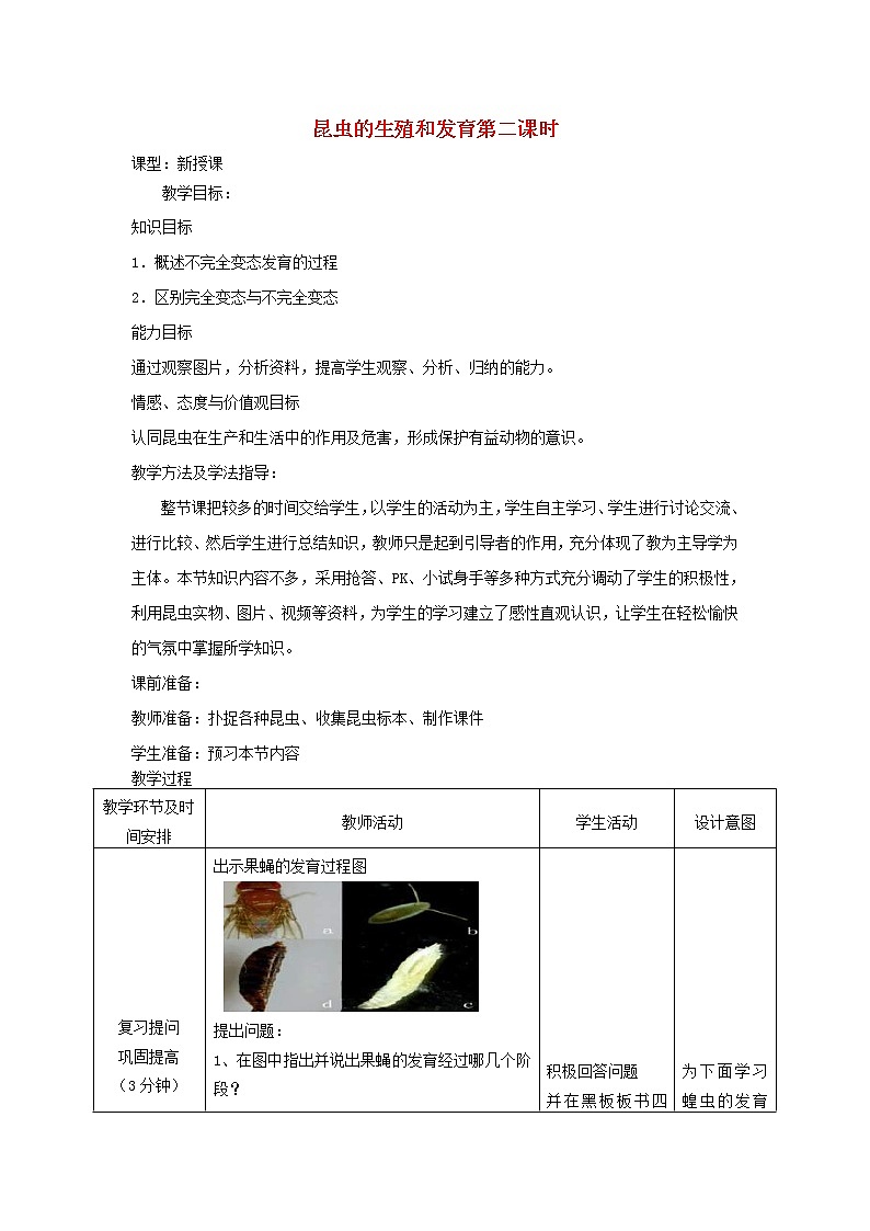 2020年济南版八年级生物上册4.2.1昆虫的生殖和发育 教案201