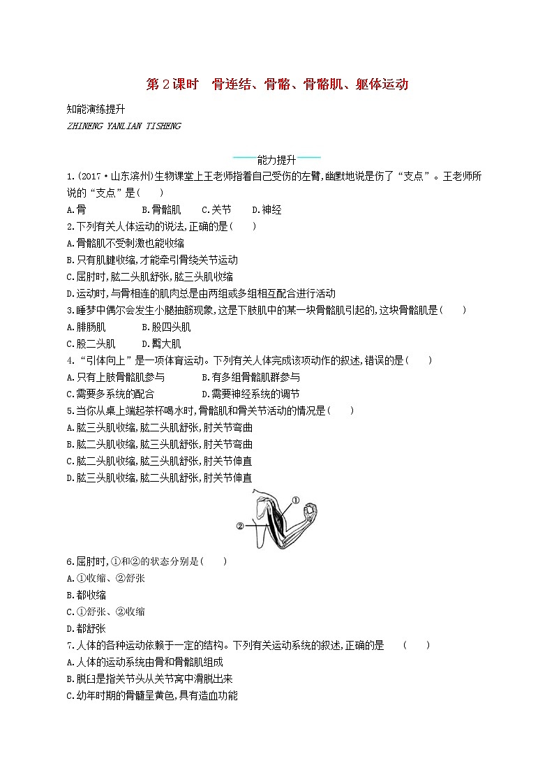 2020年北师大版八年级生物上册15.2动物运动的形成第2课时 课后习题(含答案)第1页