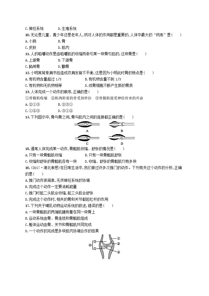 2020年北师大版八年级生物上册第15章动物的运动 测评(含答案)02